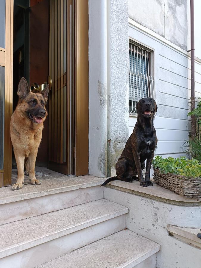 Chez Martha Bed & Breakfast Verona Ngoại thất bức ảnh