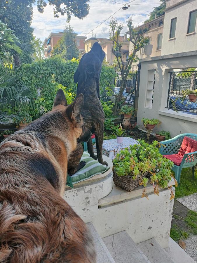 Chez Martha Bed & Breakfast Verona Ngoại thất bức ảnh